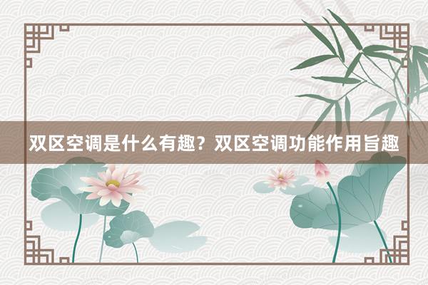双区空调是什么有趣？双区空调功能作用旨趣